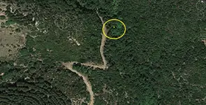 anat_07.webp