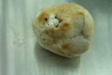 CIMG0970.webp