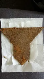 20160316_111143.webp