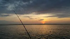 1461843942756.webp