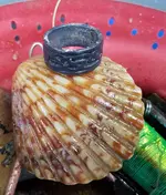 20160501_165457.webp 20160501_165457.webp