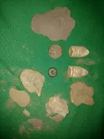 1461216296128.webp