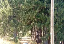 DSCF0010.webp