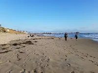 20160430_183840.webp 20160430_183840.webp