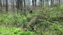 IMG_20160417_113642_927.webp