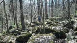 IMG_20160417_144121_088.webp