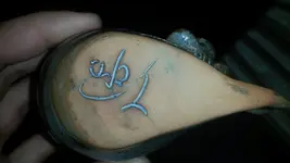 1461237142776.webp