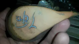 1461237558920.webp