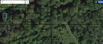 dowsing%20pic%20for%20art.webp