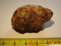 DSCF5780.webp