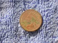 Coin.webp