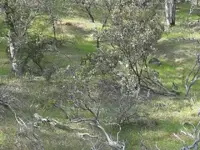 1459358674087.webp