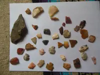 DSCN2362.webp