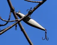 DSCN0245.webp
