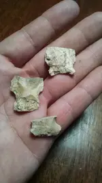 1458762731999.webp