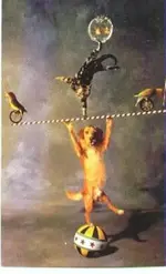 animal act.webp