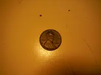 DSCF0817.webp