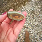 ImageUploadedByTreasureNet.com1462332073.886860.webp
