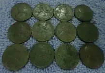 SAM_2577.webp