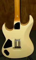 DSCN9821.webp