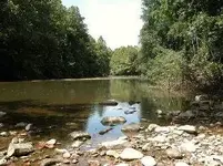 LocPh_218233069_LocID5628.webp