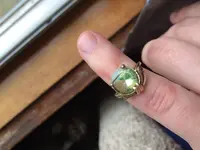 IMG_1307.webp IMG_1307.webp