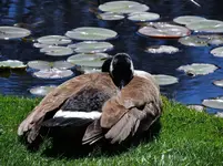 K1600_DSCN0661.webp