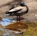 K1600_DSCN0724.webp