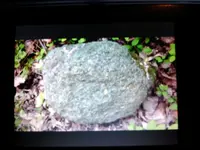 1461887379446-150009140.webp