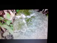 14618874657681272764571.webp