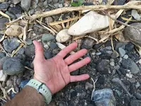 ImageUploadedByTreasureNet.com1458773310.348329.webp