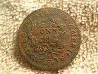 P4215037.webp