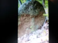 1461887749119-1982132234.webp