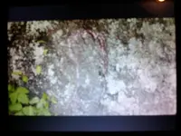 1461887809150-2089015232.webp