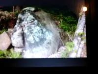 1461887895558-587462194.webp