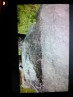 14618879565161997962287.webp