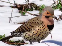 DSCN0213.webp