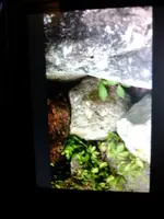 1461888026558-1916081691.webp