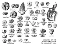 ImageUploadedByTreasureNet.com1459957055.354167.webp