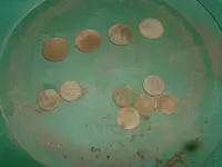 DSCF0009.webp