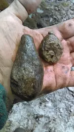 IMAG0174.webp IMAG0174.webp