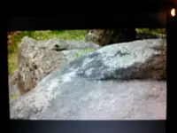 146188837296341509866.webp