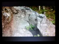 1461888465296-2065938127.webp