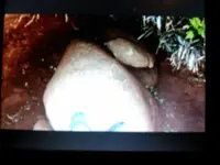 1461888747777-822798832.webp