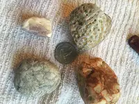 ImageUploadedByTreasureNet.com1461277053.976261.webp