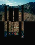 Top of the Pirinola-vertical.webp