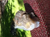 IMG_6282 (1).webp IMG_6282 (1).webp
