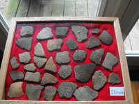 DSCF3691.webp