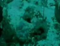 cannonballs.webp