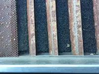 RUST.webp